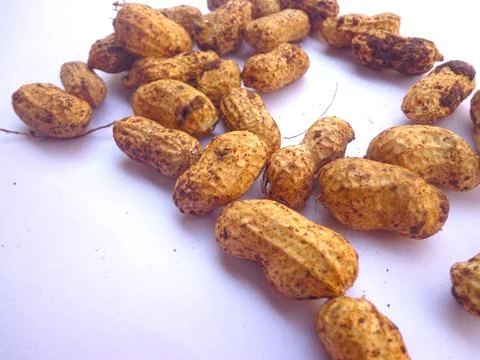 A close-up view of fresh Peanuts Stock Photos