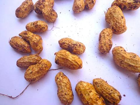 A close-up view of fresh Peanuts 스톡 사진