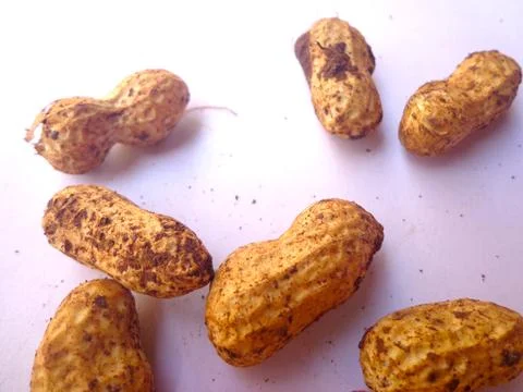 A close-up view of fresh Peanuts Stock-Fotos