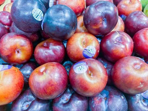 A close-up view of fresh red and purple plums displayed in a grocery store Stock Photos