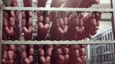 Close up view of fresh sausages under the water stream during the manufacturing Stock Footage 77523891