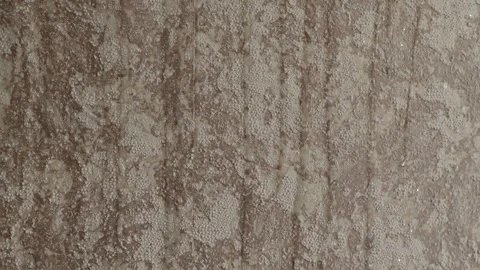 Close view of fresh water drops flowing down apartment wall Stock Footage 338003269