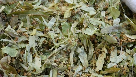 Close up view of freshly dried linden leaves and flowers for sale at the he.. Video stock 263150461