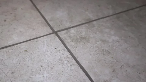 Close up view of a freshly grouted tile floor Stock Footage 346688500