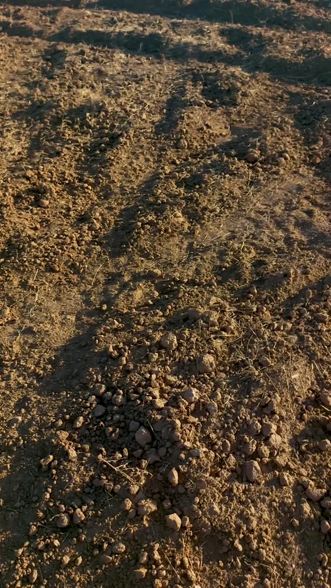 Close-up view of freshly plowed brown soil with rough texture Stock Footage 346118285