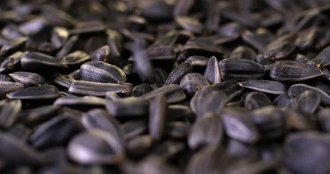 Close up view of fried black sunflower seeds in slow motion. Stock Footage 146235931