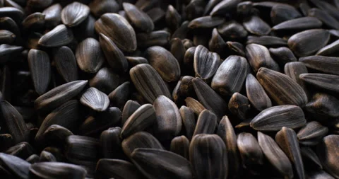 Close up view of fried black sunflower seeds in slow motion. Stock Footage 146236122