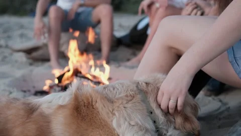 Close view of friends sitting around bonfire, playing ukulele on sandy beach Stock Footage 166962771