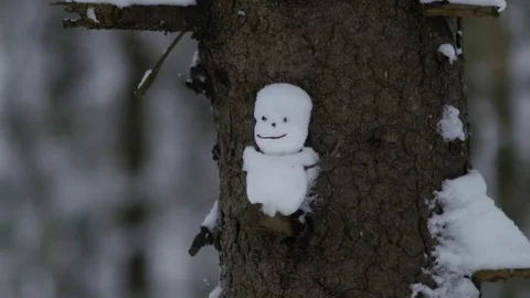 Close up view of a funny snowman on a tree, 4k footage Stock Footage 70455553