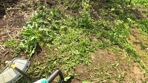 A Close-Up View of a Gardener Using a Weed Trimmer to Maintain an Overgrown Stock Footage 336227357