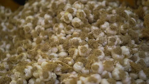 Close-up view of garlic. 4K Footage in Turkey Stock Footage 146934873