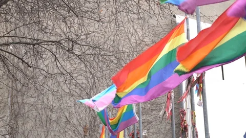 Close-up view of gay pride flags 스톡 동영상 128944516