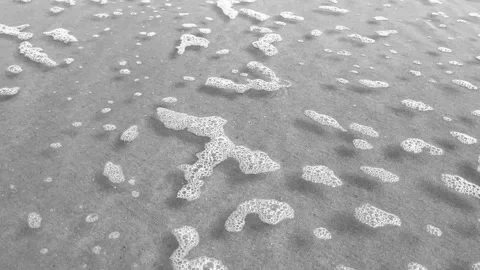 Close-up view of gentle ocean waves washing over shallow shore in black and Video stock 311135111
