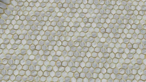 Close-up view of geometric tile Stock Footage 265546479