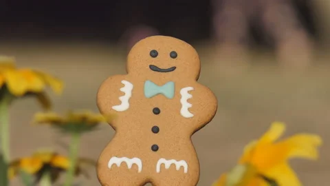 A close up view of a gingerbread man cookie. Stock Footage 129882877