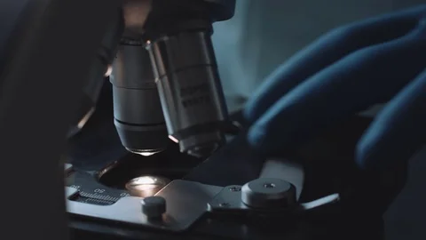 Close up view of glass under microscope 動画素材 72840056