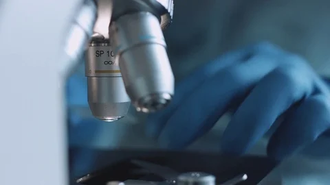 Close up view of glass under microscope Vídeo Stock 72841881