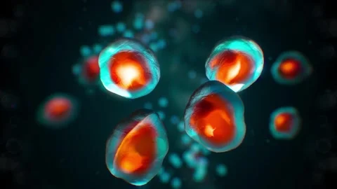 Close-up view of glowing cells under a microscope, cell division 3d animation Stock Footage 301373078