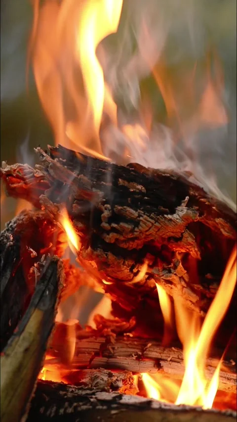 Close-up View of Glowing Charcoal and Campfire Flames. 動画素材 344746525