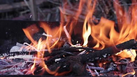 Close up view of glowing flying fire flame from hot bonfire charcoal. Stock Footage 130182196