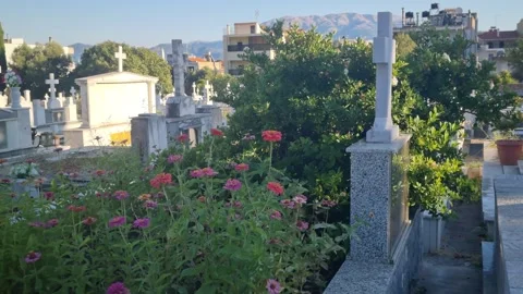 Close-up view of a grave decorated with blooming flowers in a cemetery 스톡 동영상 317738549