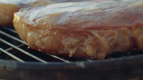 Close-up view of greasy hi-fat steak roasting on barbeque brazier. BBQ Vídeos de archivo 285469437