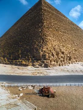 Close-up view of Great Pyramid's massive limestone blocks with camel restin.. Stock Photos