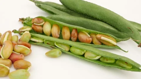 Close view of green beans, Beans seeds over white surface Video stock 159638971