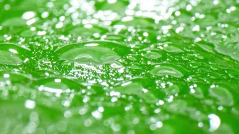 A close-up view of a green leaf covered in numerous water droplets. Stock Footage 277246861