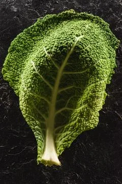 Close view green leaf fresh Stock Photos