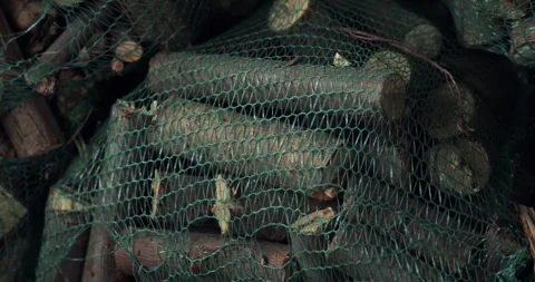 A close-up view of a green mesh bag filled with dried branches of firewood. The Stock Footage 279992949