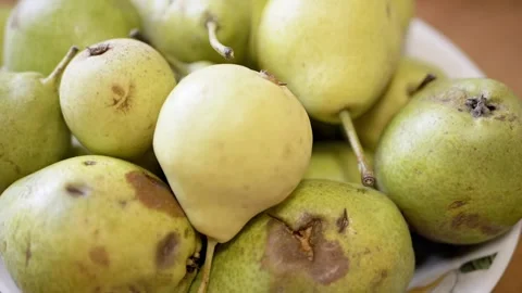 Close up view of green organic pears with brown spots in white bowl on table Stock Footage 330117078