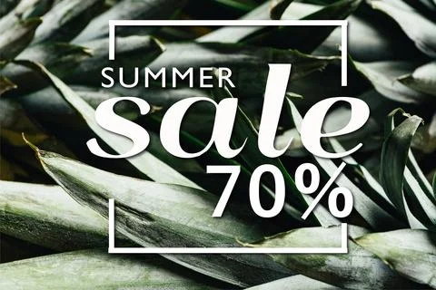 Close view green pineapple leaves Stock Illustration