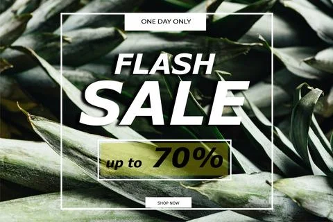 Close view green pineapple leaves Stock Illustration