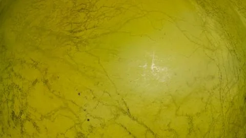 Close up view of green textured algae on a surface pond Stock Photos