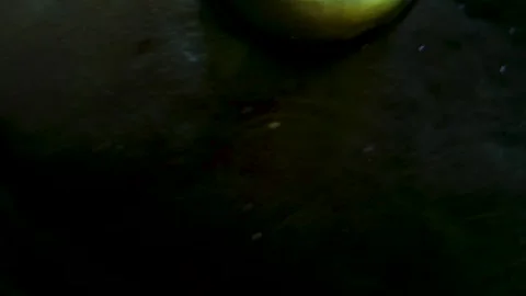 Close view of a grouper fish head Stock Footage 269630538