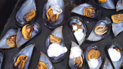 Close view of half shell mussels topped with white sauce arranged in rows Stock Footage 348623753