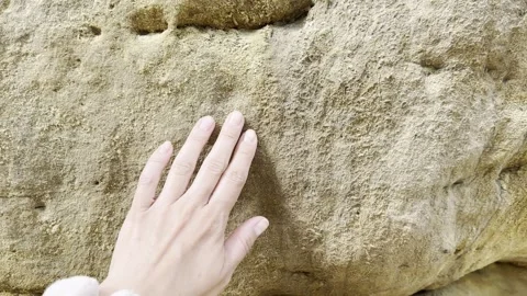 Close-up view of a hand gently touching the rough, weathered surface of a n.. 스톡 동영상 346910994