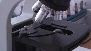 Close up view the hand puts glass with the analysis under a microscope for Vídeos de archivo 86080419