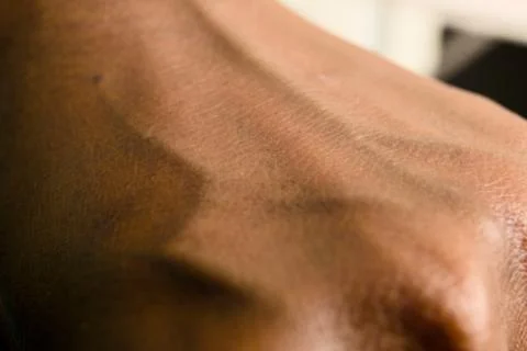 Close-up view of a hand showing detailed skin texture Stock Photos