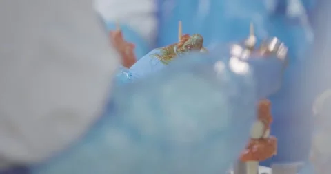 Close view of hand threading marinated meat onto a thin skewer, Food Factory Stock Footage 340030151