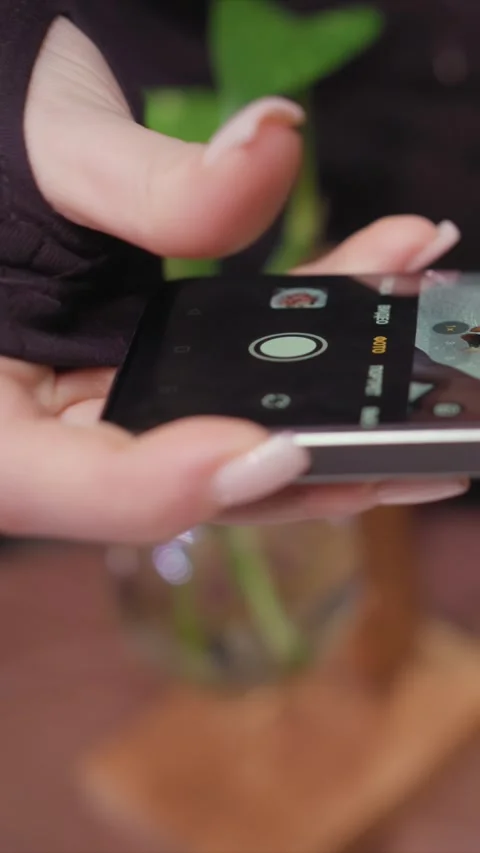 Close up View of Hands Holding Smartphone with Camera Interface featuring app Stock Footage 348163633