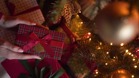 Close-up view of hands putting Christmas gift under the xmas tree Stock Footage 221529533