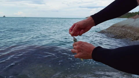 Close View of Hands Removing Freshly Caught Sea Fish From Fishing Hook Near Rock Stock Footage 335219116
