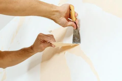 Close-up view on hands with a scraper in the process of removing wallpaper. Stock Photos