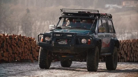 Close-up view of the handsome traveller with his Czechoslovakian wolfdog driving Stock Footage 84899896