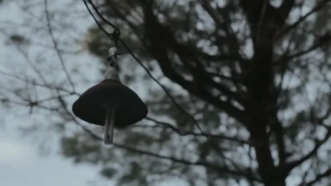 Close-Up View of Hanging Metal Bell Surrounded by Blurred Tree Branches at .. Stock Footage 303340422