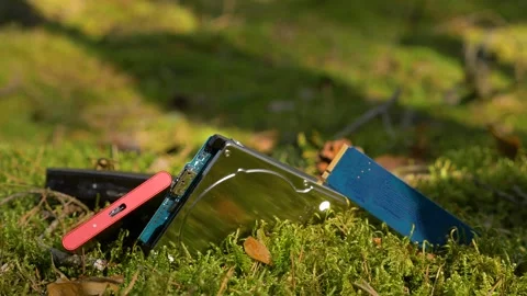 Close up view of Hard disks on the moss. Bee lands on the HDD. CHIA mining Stock Footage 155065076