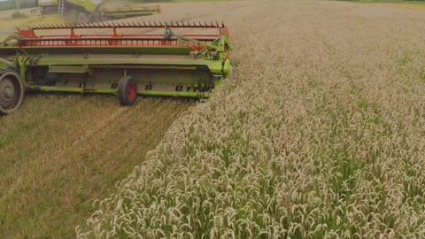 A close-up view of a harvester cutting wheat in a field. Stock-Footage 252423667