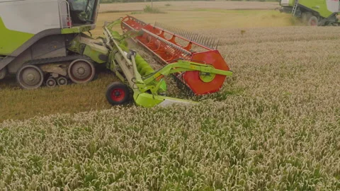 A close-up view of a harvester cutting wheat in a field. Stock-Footage 252423901
